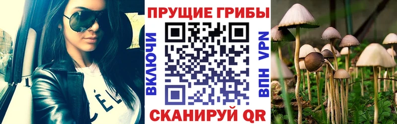 Псилоцибиновые грибы Magic Shrooms МЕГА ссылки Чухлома